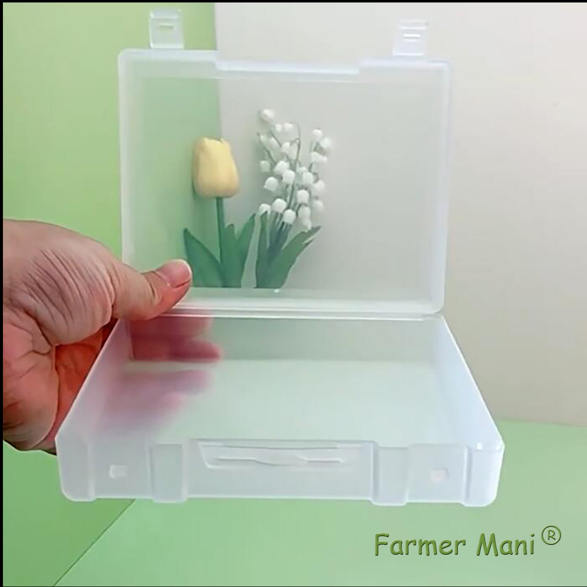 2 Pack Rectangle Plastic Frosted Storage Containers Box(5.2 x 4.02 x 1.3 inch)