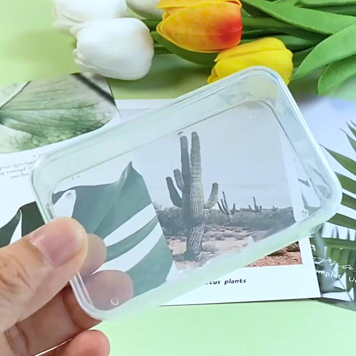 12Pack Rectangle Plastic Clear Storage Containers Box, 2.91x1.93x0.79 Inchs