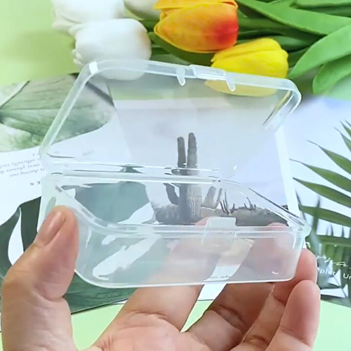 12Pack Rectangle Plastic Clear Storage Containers Box, 2.91x1.93x0.79 Inchs