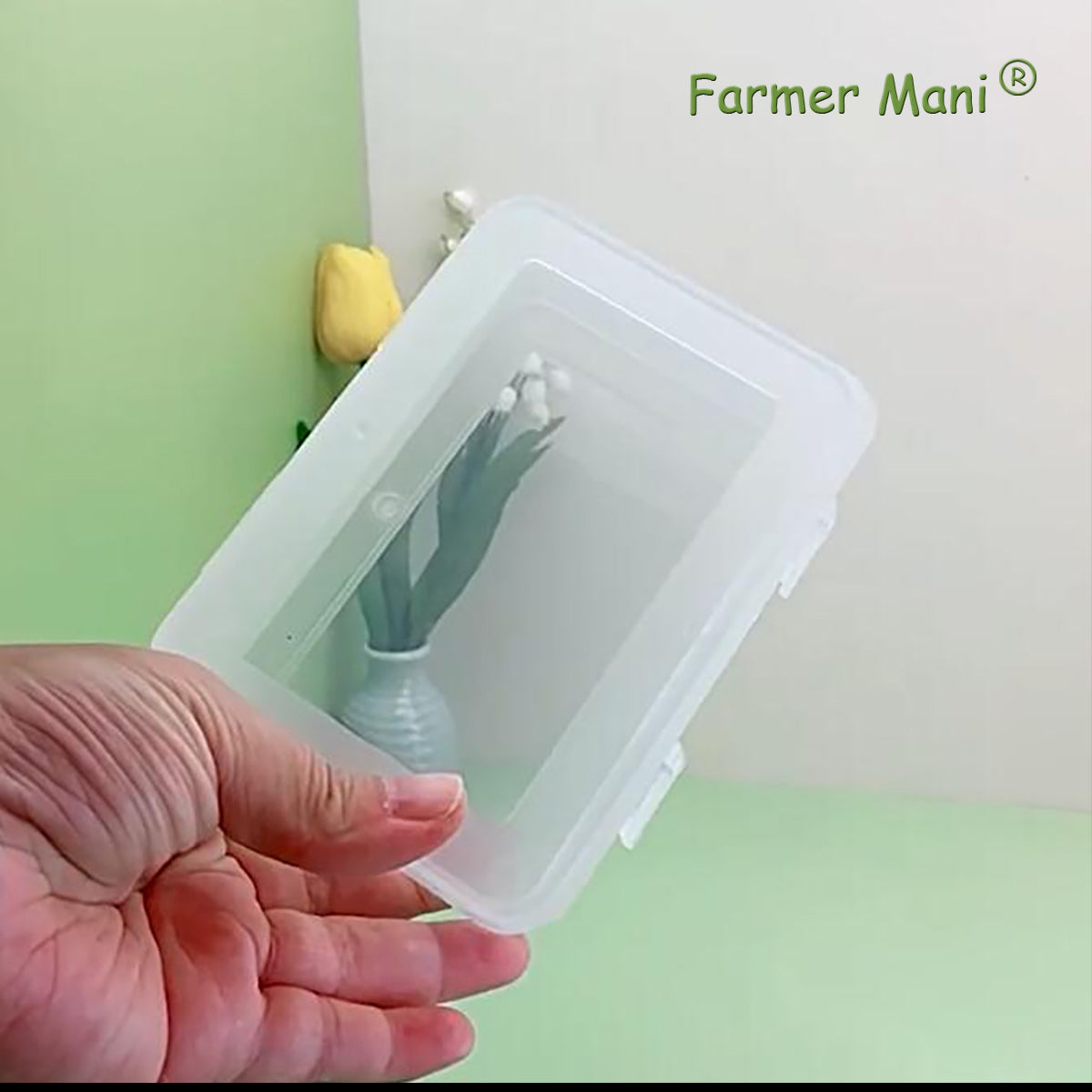 Clear Plastic Storage Containers Box with Lid (5.04x3.5x1.69 inch, 2 Pack)