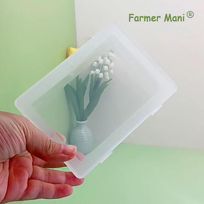 2 Pieces Rectangle Small Plastic Box Containers (5.2 x 3.86 x 1.69 inches)