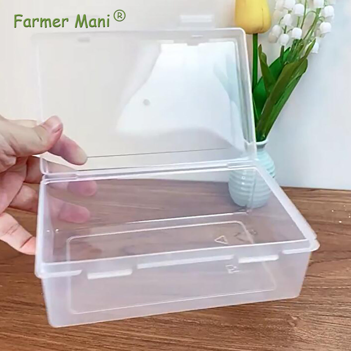 2 Pack Rectangle Small Storage Containers Box 6.5 x 4.17 x 2.28 inch