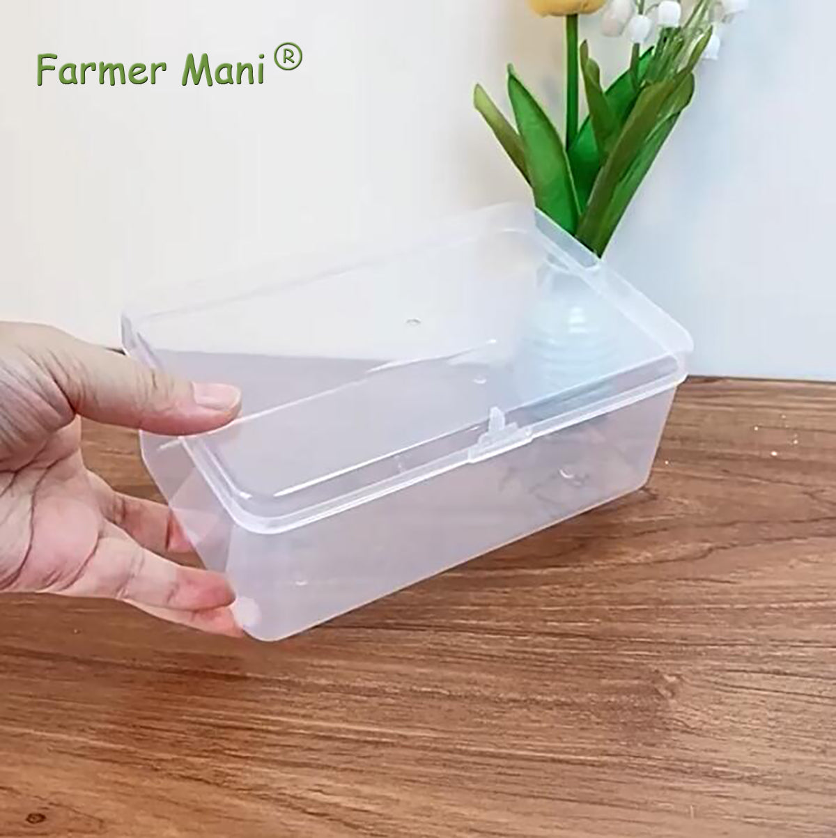 2 Packs Small Transparent Plastic Storage Case (6.69x4.06x2.76 in)